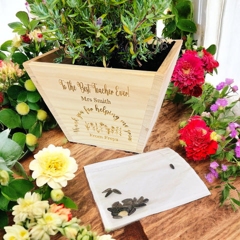 Teacher gift pine plant pot with seeds