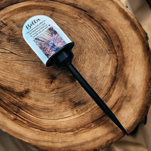Solar light Memorial gift