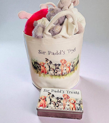 Furry friend personalised felt toy Tub and treat box bundle