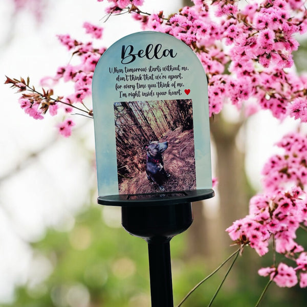 Solar light Memorial gift