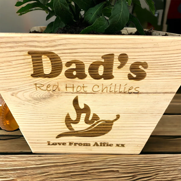 Pine Plant Pot with seeds - Dads Chillis