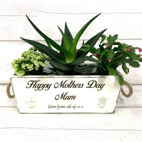 Mothers Day Vintage Style Planter with rope handles