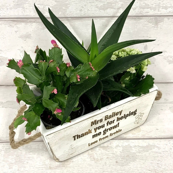 Teacher Gift Vintage Style Planter