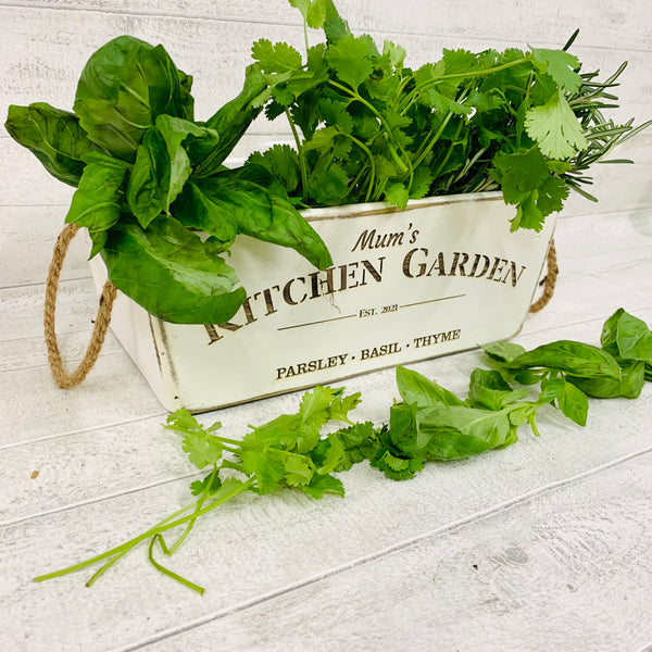 Herb garden planter