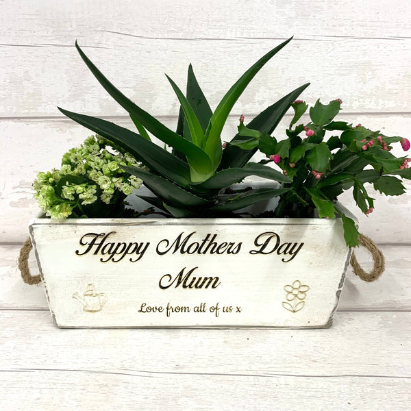 Mothers Day Vintage Style Planter with rope handles