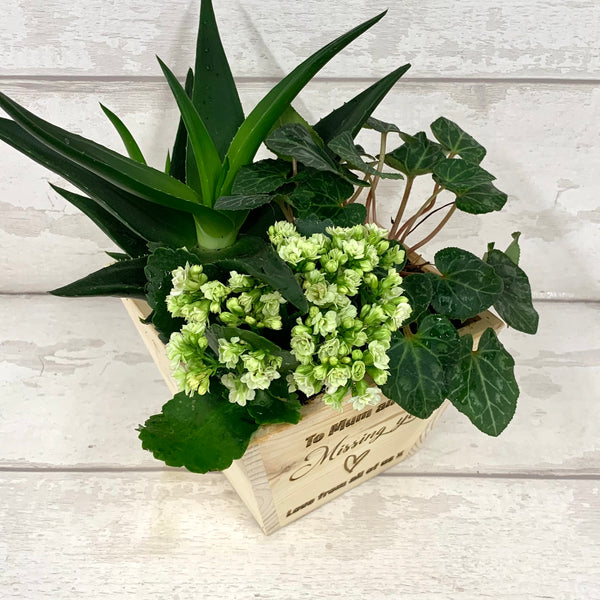 ‘Missing You’ Personalised Plant Pot