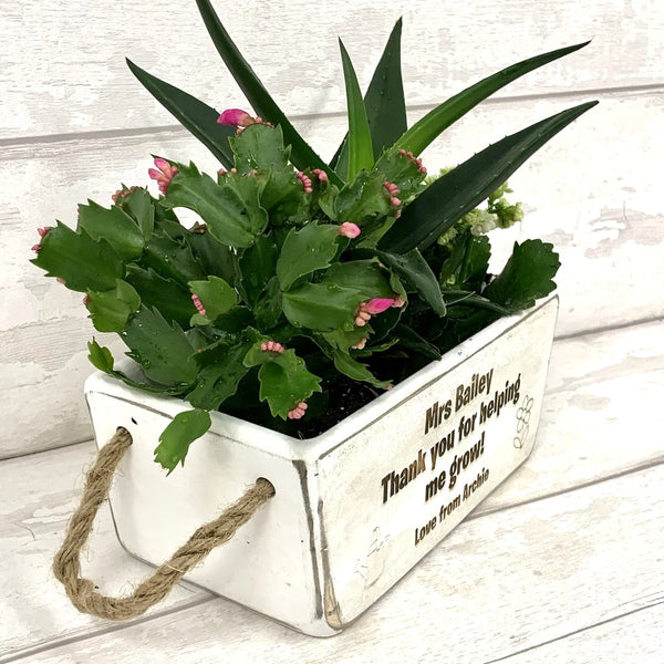 Teacher Gift Vintage Style Planter