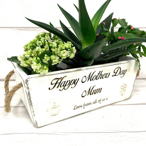 Mothers Day Vintage Style Planter with rope handles