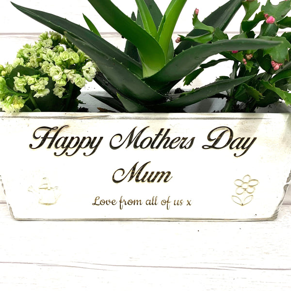 Mothers Day Vintage Style Planter with rope handles